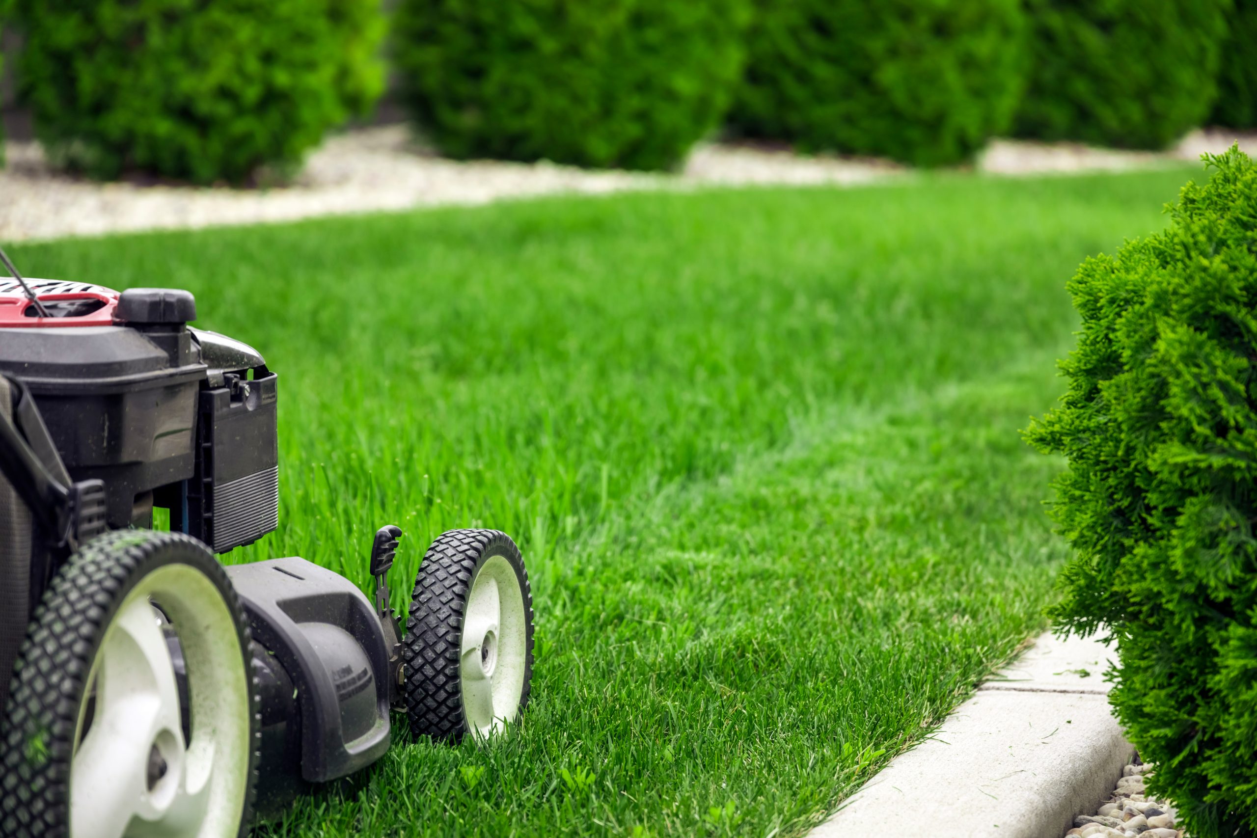 gardencare2000blog